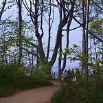 Salazar * Debina (Ustka)