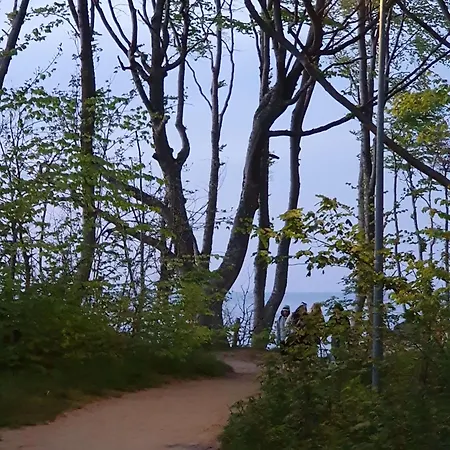 Salazar * Debina (Ustka)