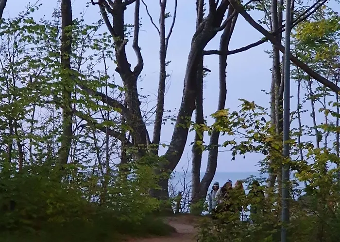 Salazar * Debina (Ustka)